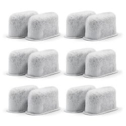 Replacement Charcoal Water Filters -Removes Chlorine, odors, and others impurities from Water-fo ...