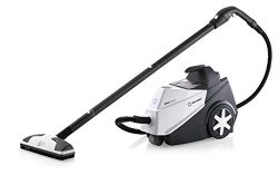 Reliable Brio 250CC Steam Cleaner, Multi-Purpose