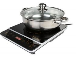 Rosewill 1800W Induction Cooker Cooktop , Included 10″ 3.5 Qt 18-8 Stainless Steel Pot, Go ...