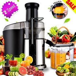 Electric Juicer Masticating Juicers Fruit, Veggies, Greens Juice Extractor Juicer with 1L Custom ...