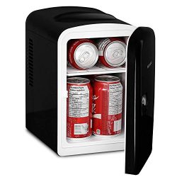 Magnasonic Portable 6 Can Mini Fridge Cooler & Warmer, 4L Capacity, Fully Insulated, Thermoe ...