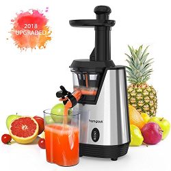 Homgeek Juicer Slow Masticating Juicer Extractor, Cold Press Juicer Machine, Quiet Motor and Rev ...