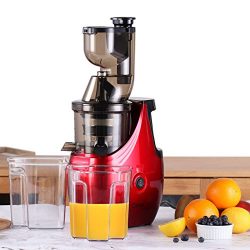 Caynel Whole Slow Masticating Upgrade Cold Press Juicer Extractor Quiet Durable Motor, 3″  ...