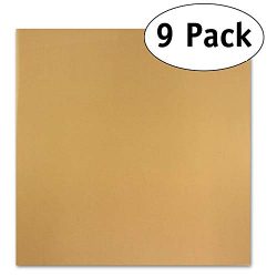 Pack of 9 Premium 14″ X 14″ Non-stick Dehydrator Sheets- For Excalibur 2500, 3500, 2 ...