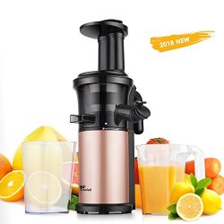 Juicer Amzdeal Slow Juicer – Masticating Juicer Machine Cold Press Juicer BPA Free for Hig ...