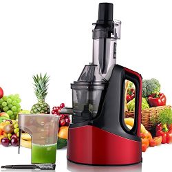 Slow Masticating Juicer Extractor, Cold Press Juicer Machine with Brush to Clean Conveniently Hi ...