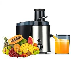 Juicer Juicer Wide-mouth Centrifugal Juicer, 2-speed Fruit and Vegetable Juicer, Stainless Steel ...