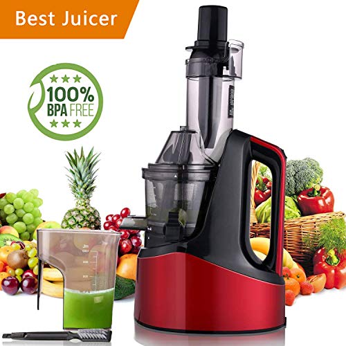 Rendio Slow Masticating Juicer, Juicer Extractor, Wide Chute Anti-Oxidation, Reverse Function wi ...