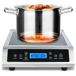 Duxtop 961LS Professional Portable Induction Cooktop, Silver