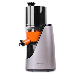 Tenergy Masticating Juicer, Anti-Oxidation Slow Speed Cold Press Juicer, High Nutrient Fresh Veg ...