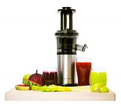 Shine Kitchen Co. Vertical Slow Juicer, SJV-107-A Cold Press, Masticating Juice Extractor, Silve ...