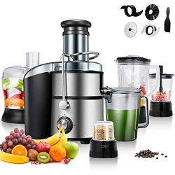 Costway 5-in-1 Food Processer, Smoothie Blender, Wide Mouth Stainless Steel Centrifugal Juice Ex ...