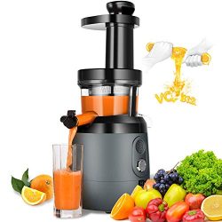 Slow Masticating Juicer Extractor, HAYKE Juicer with Quiet Motor and Brush to Clean Easily, Cold ...