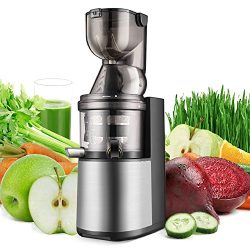 Flexzion Masticating Juicer Machine – Slow Cold Press Juice Extractor Maker Electric Juici ...