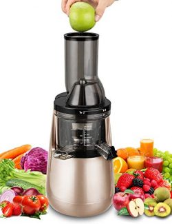 Slow Masticating Juicer by Tiluxury, Low Speed With Wide Chute Anti-Oxidation,Whole Fruit and Ve ...