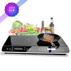 Duxtop 1800-Watt Portable Induction Cooktop Countertop Burner (Dark Black)