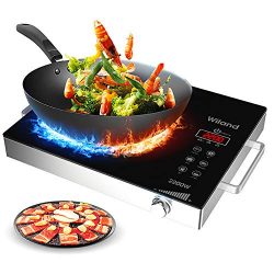 Portable Induction Cooktop Countertop Burner, 2200-Watt 120-Volts Smart Touch Sensor Countertop  ...