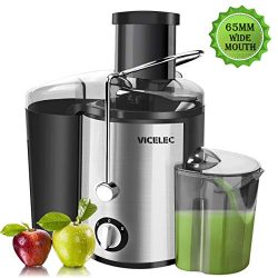 Juicer Extractor – Professional Dual Speed Wide Mouth Fruits and Vegetable Juicer Machines ...