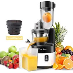 Slow Juicer Machine Extractor with Slow Cold Press Masticating Squeezer Mechanism Technology 200 ...