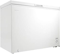 Danby Diplomat 9 Cu. Ft. Chest Freezer in White