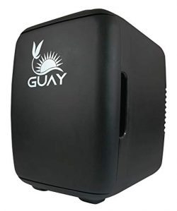Guay Outdoors Portable Thermoelectric Mini Fridge Cooler and Warmer – 4 Liter/6 can. AC/DC ...
