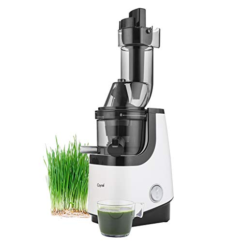 Caynel Whole Slow Juicer, Masticating Cold Press Juicer Machine Easy to Clean, Higher Nutrients ...
