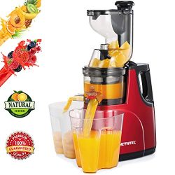 Masticating Juicer Machines, Hethtec Cold Press Juice Extractor with Large Double-Chute and Clea ...