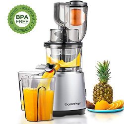 AMZCHEF Slow Juicer Slow Masticating Juicer Cold Press Juicer Vegetable&Fruit Extractor Juic ...