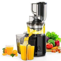 Juicer Machines, ENZOO 2020 Upgraded Masticating Juicer Extractor, Slow Cold Press Juicer, Slow  ...